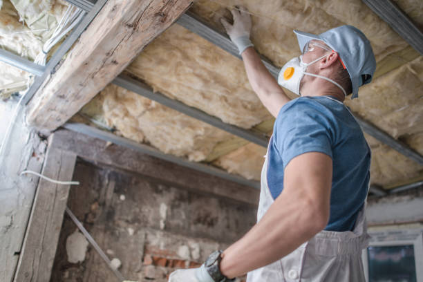 Best Geographic-Specific Insulation Services in Mabscott, WV