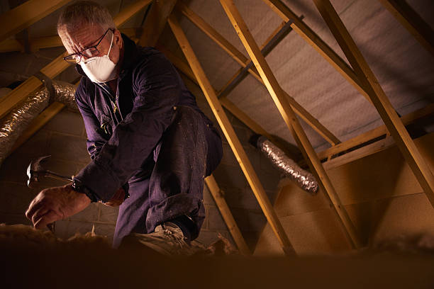 Best Specialized Insulation Services in Mabscott, WV